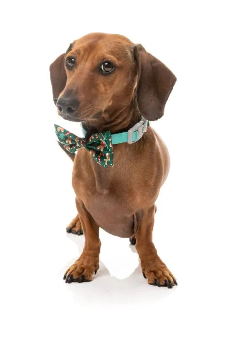 FuzzYard Christmas Bowtie - Jolly Gingerbread & Canes