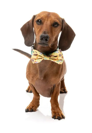 FuzzYard Christmas Bowtie - Outback Wonderland