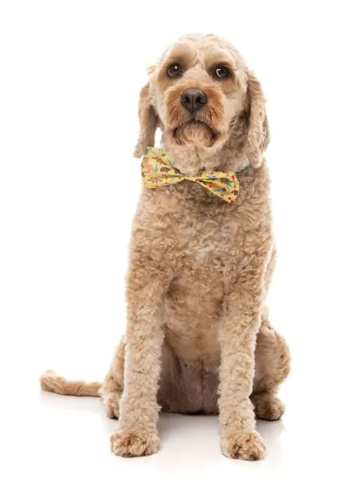 FuzzYard Christmas Bowtie - Outback Wonderland