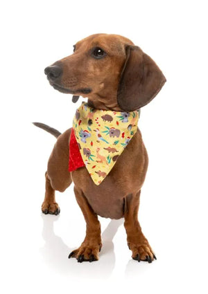 FuzzYard Christmas Bandana - Outback Wonderland