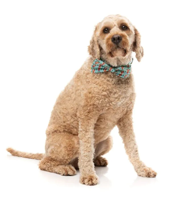 FuzzYard Christmas Bowtie - Blitzen Blizzard
