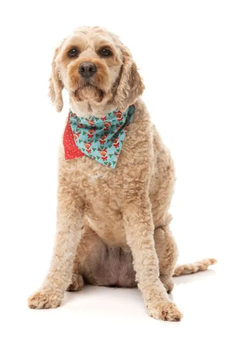 FuzzYard Christmas Bandana - Blitzen Blizzard
