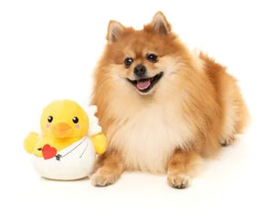 FuzzYard Cupid Duck Valentine's Dog Toy