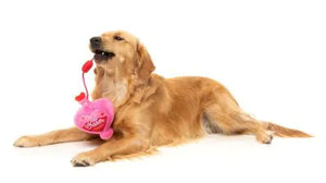 FuzzYard Tail Chaser Valentine's Perfume Dog Toy