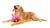 FuzzYard Tail Chaser Valentine's Perfume Dog Toy