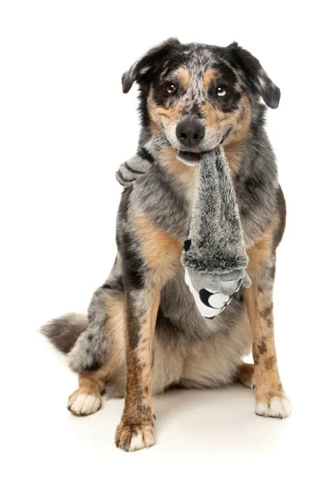 FuzzYard Run Along Raccoon - Dog Toy