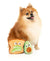 FuzzYard Avocado & Toast 2pk - Dog Toy