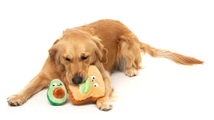 FuzzYard Avocado & Toast 2pk - Dog Toy