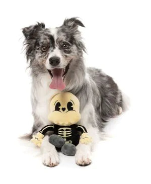 FuzzYard Halloween Dog Toy Arthur-itis