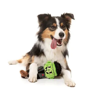 FuzzYard Halloween Dog Toy Igor