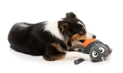FuzzYard Halloween Dog Toy Arachnate the Spider
