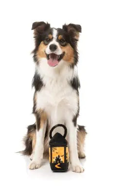 FuzzYard Halloween Dog Toy Eerie Light Up Lantern