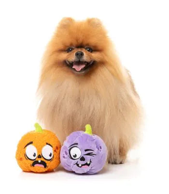 FuzzYard Halloween Dog Toy Trick or Treat Duo 2pk