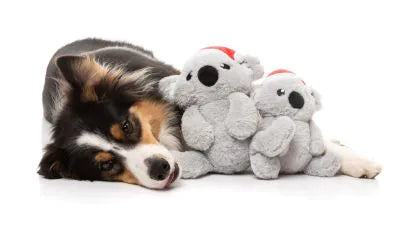 FuzzYard Christmas Dog Toy - Coco Koala