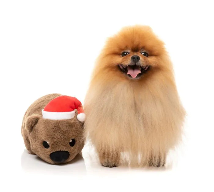 FuzzYard Christmas Dog Toy - Wallace Wombat