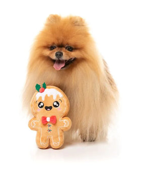 FuzzYard Christmas Dog Toy - Mistle-Dough