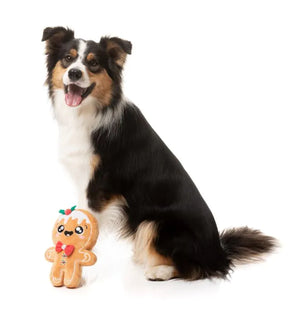 FuzzYard Christmas Dog Toy - Mistle-Dough