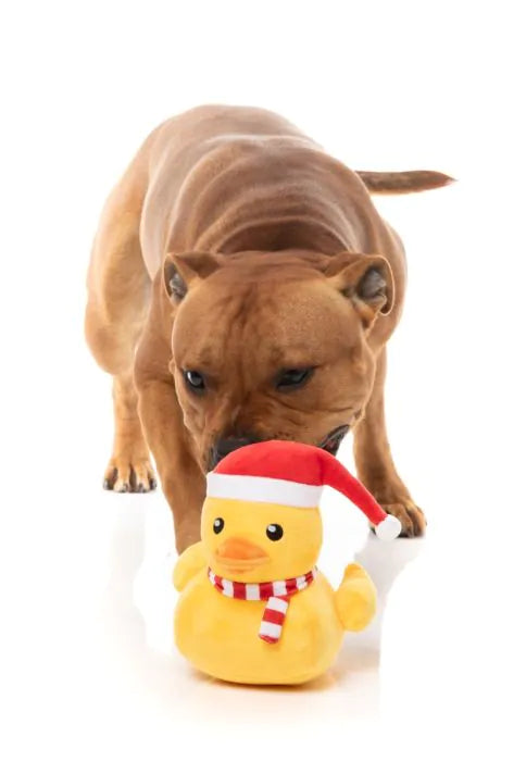 FuzzYard Christmas Dog Toy - Festive Waddles