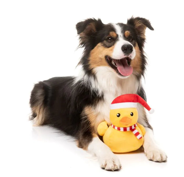 FuzzYard Christmas Dog Toy - Festive Waddles