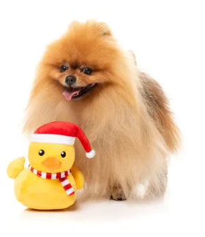 FuzzYard Christmas Dog Toy - Festive Waddles