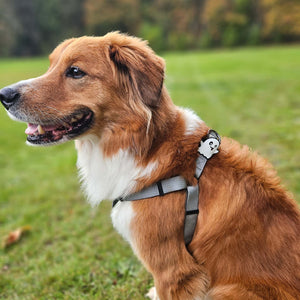 Ghost Jiby Dog Charm