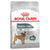 Royal Canin Mini Dental Care 3kg - RSPCA VIC