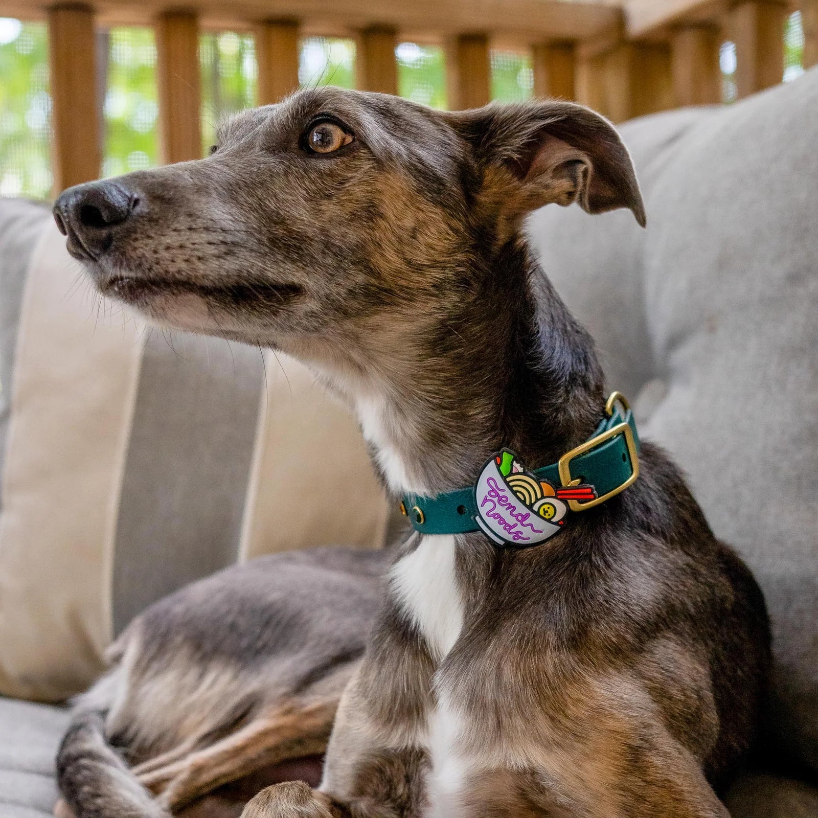 Send Noods Jiby Dog Charm