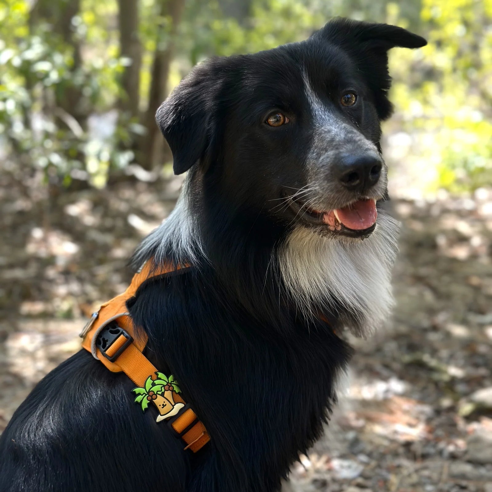 Palm Tree Jiby Dog Charm