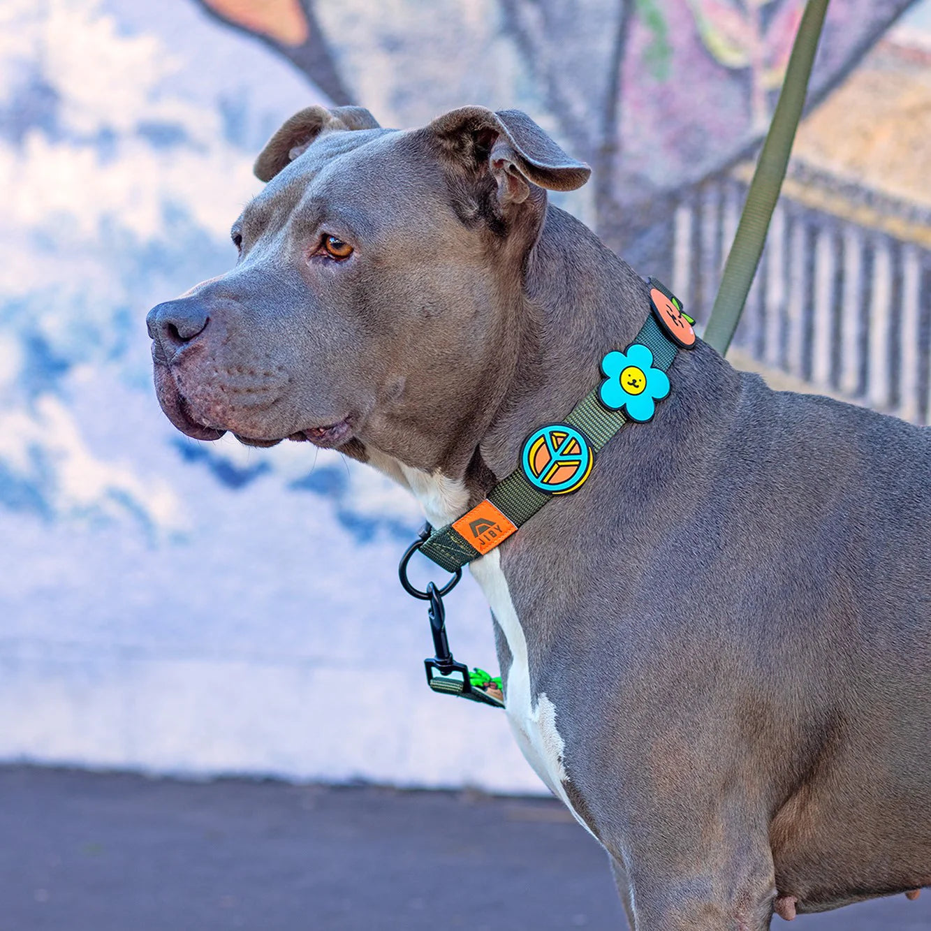 Peace Jiby Dog Charm