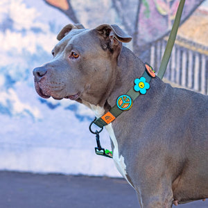 Peace Jiby Dog Charm