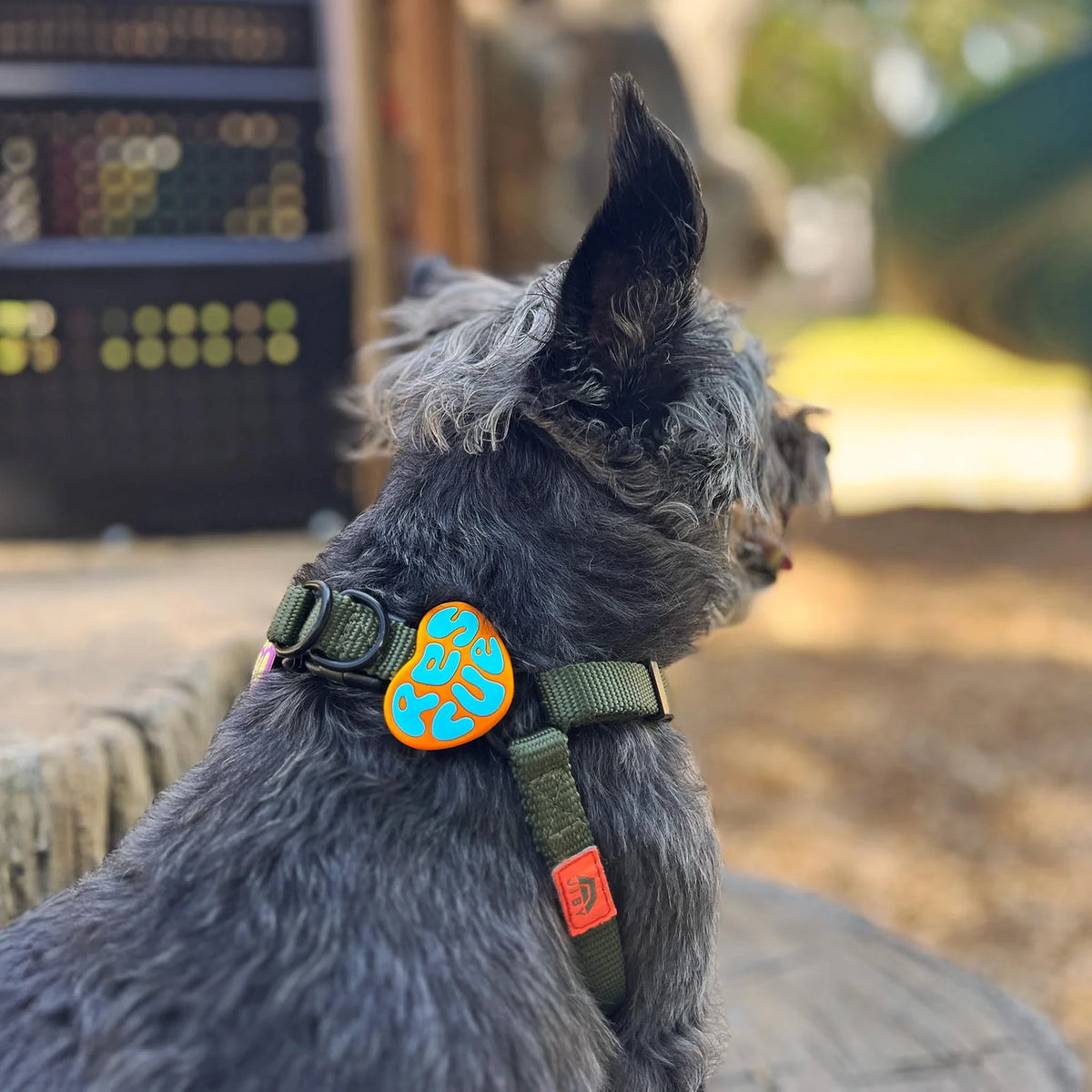 Rescue Jiby Dog Charm