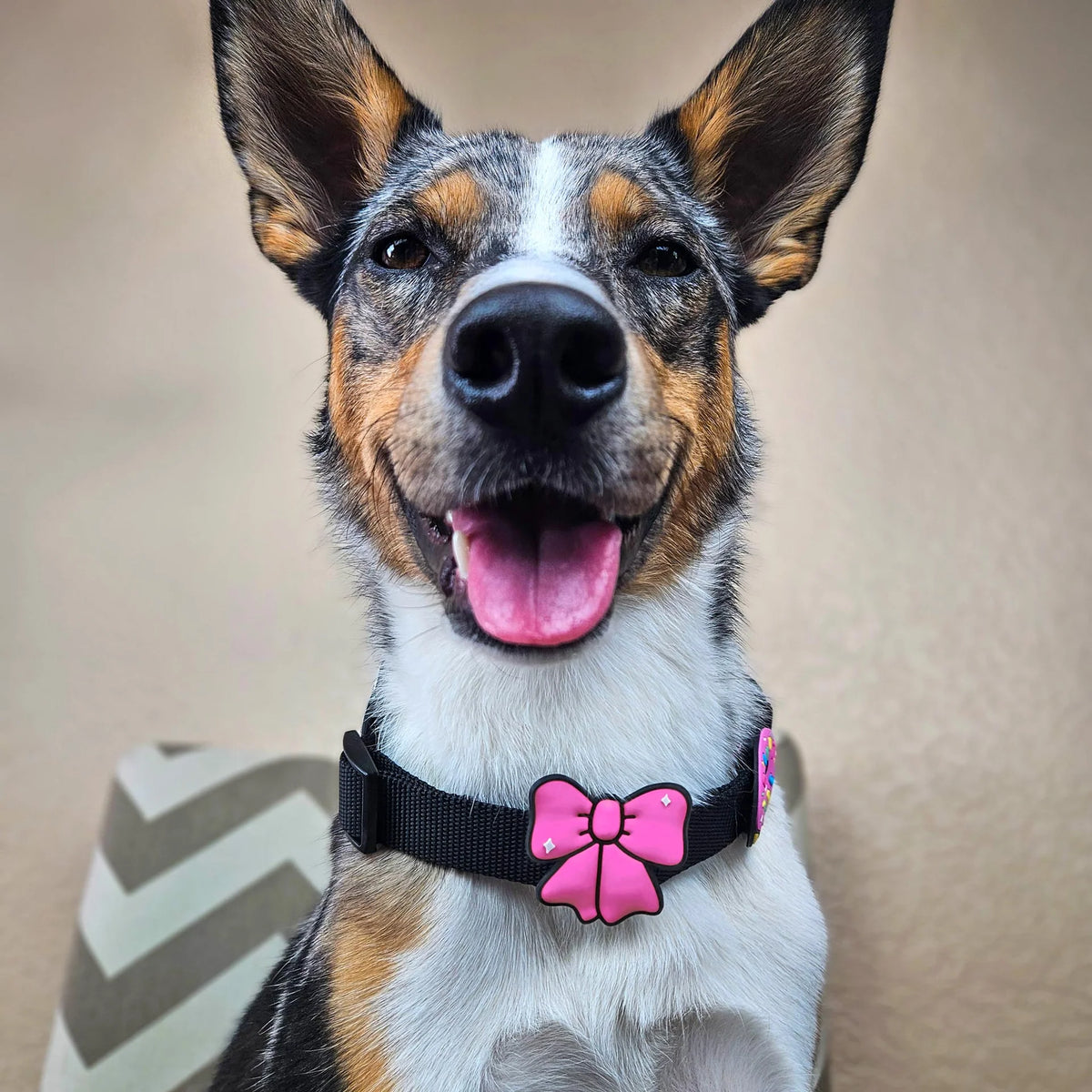 Ribbon Jiby Dog Charm