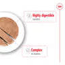 Royal Canin Mini Adult Loaf Wet Dog Food Can - 195g