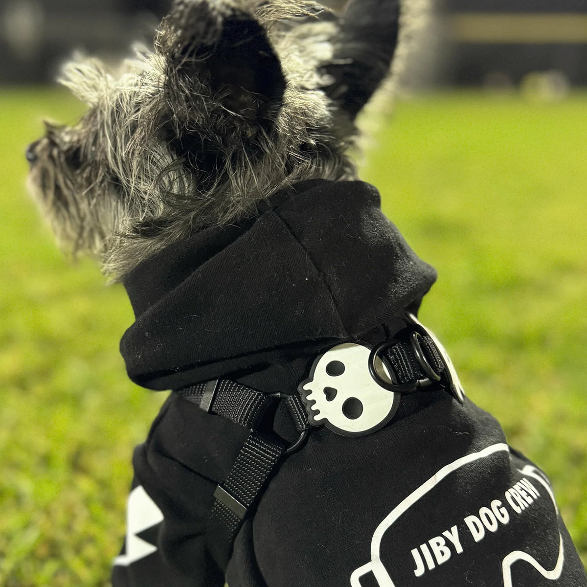 Skull Jiby Dog Charm