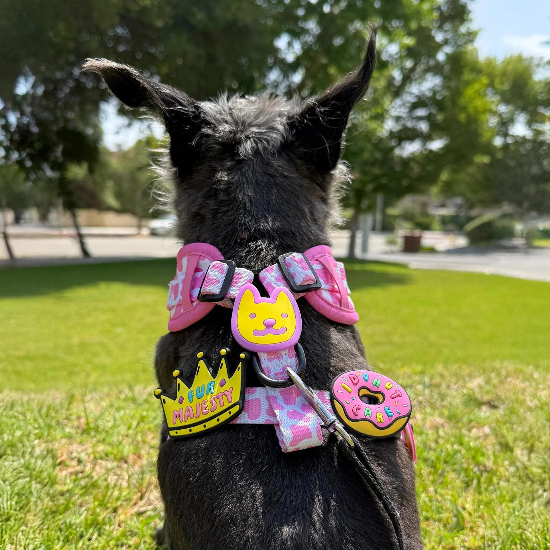 Smiley Jiby Dog Charm