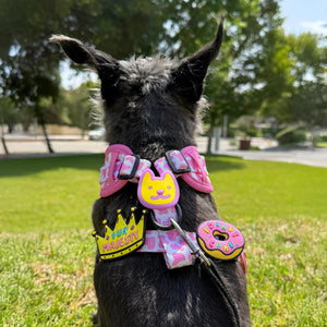 Smiley Jiby Dog Charm
