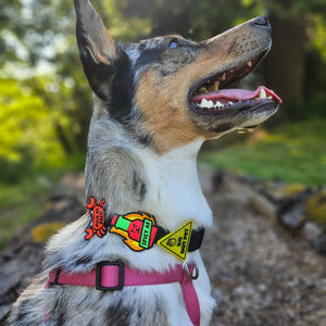 Spicy AF Jiby Dog Charm