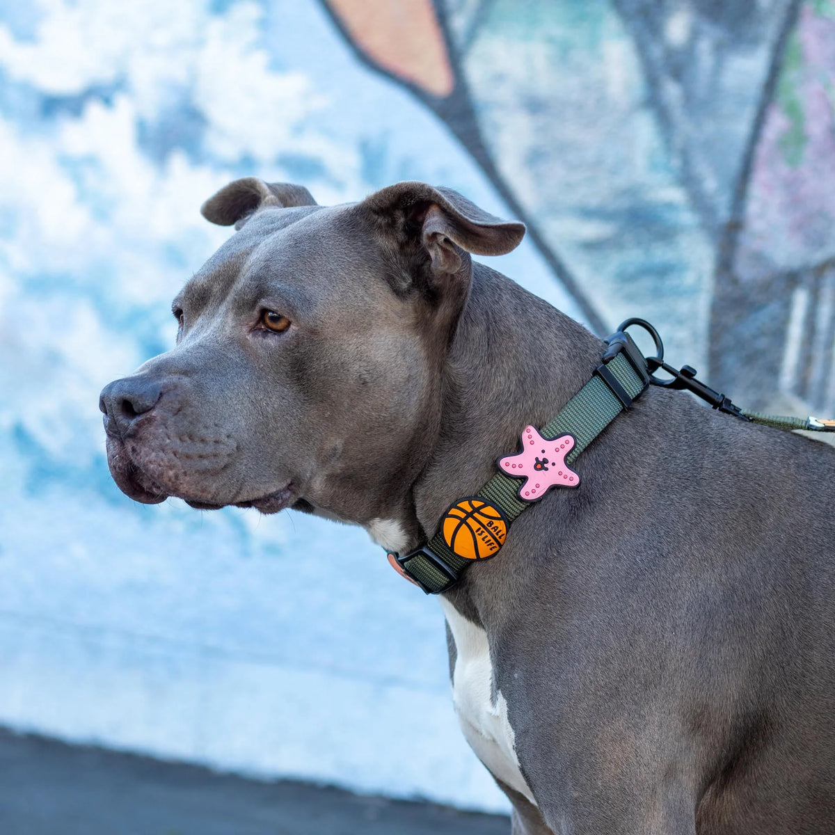 Starfish Jiby Dog Charm
