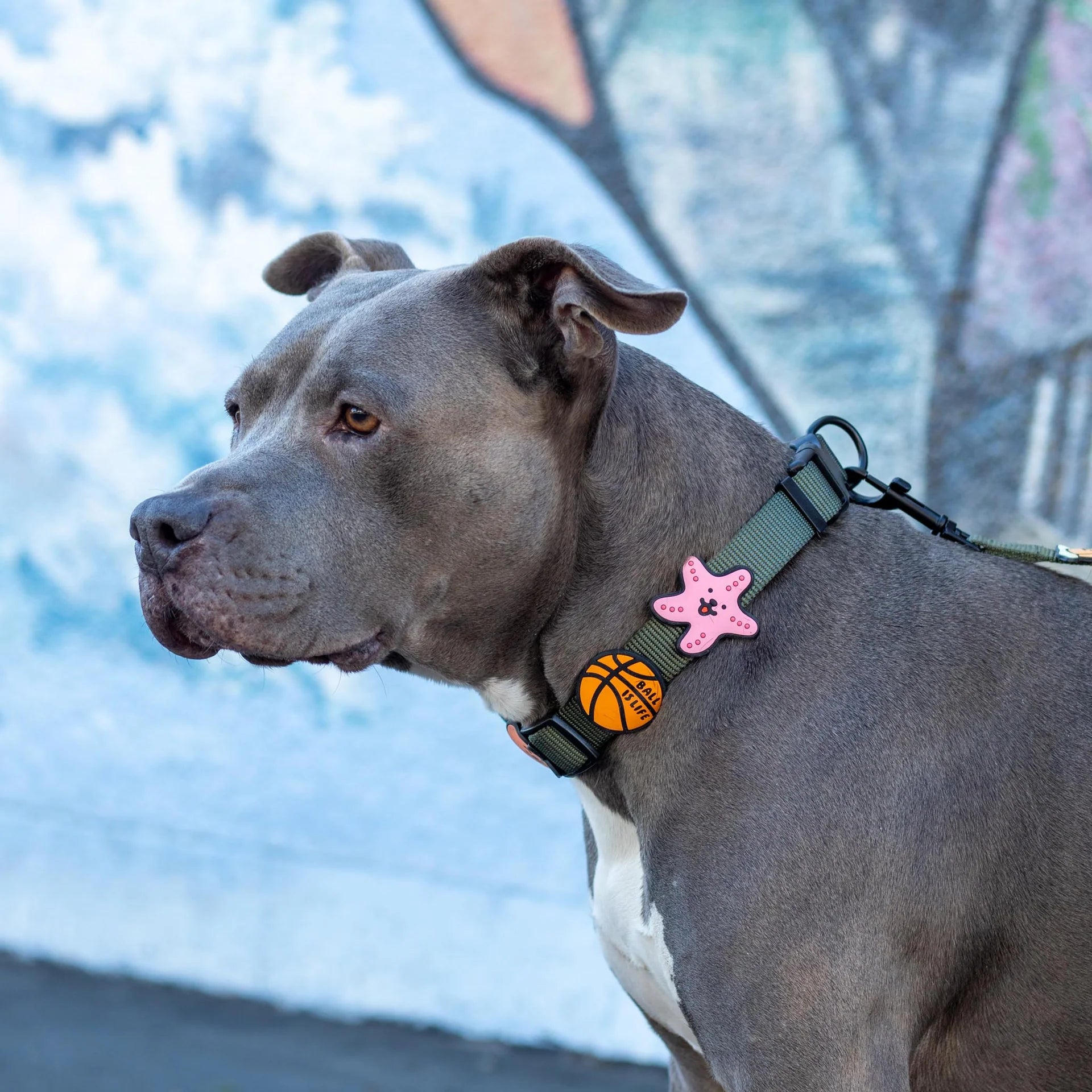 Starfish Jiby Dog Charm