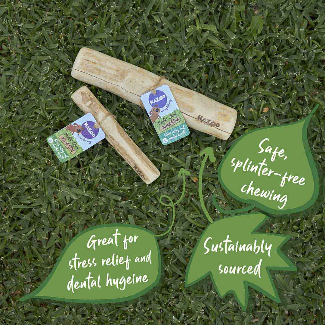 Kazoo Dental Chew-Coffee Wood Stick