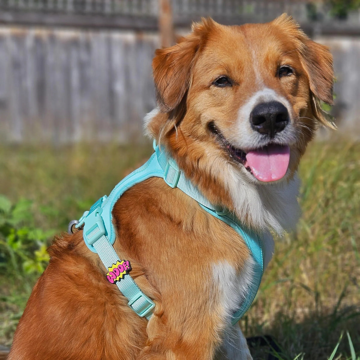 WOOF! Jiby Dog Charm