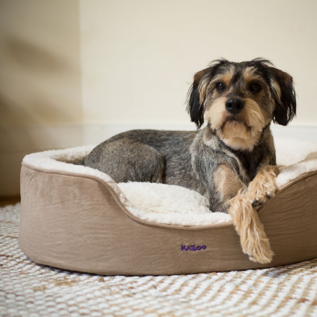Top paw store orthopedic cuddler bed