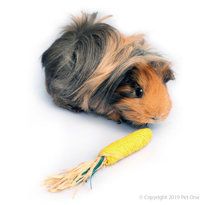 PO Veggie Rope Chew Corn - RSPCA VIC