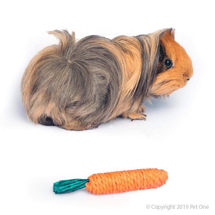 PO Veggie Rope Chew Carrot - RSPCA VIC