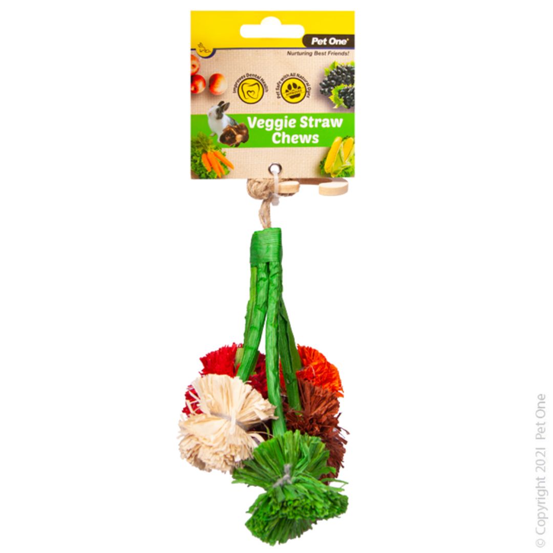 Pet One Small Animal Veggie Straw Chew Broccoli Hanging - RSPCA VIC