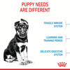 Royal Canin Maxi Puppy - RSPCA VIC