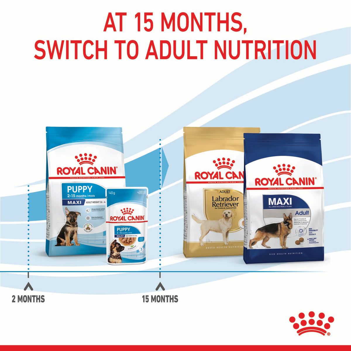 Royal Canin Maxi Puppy - RSPCA VIC