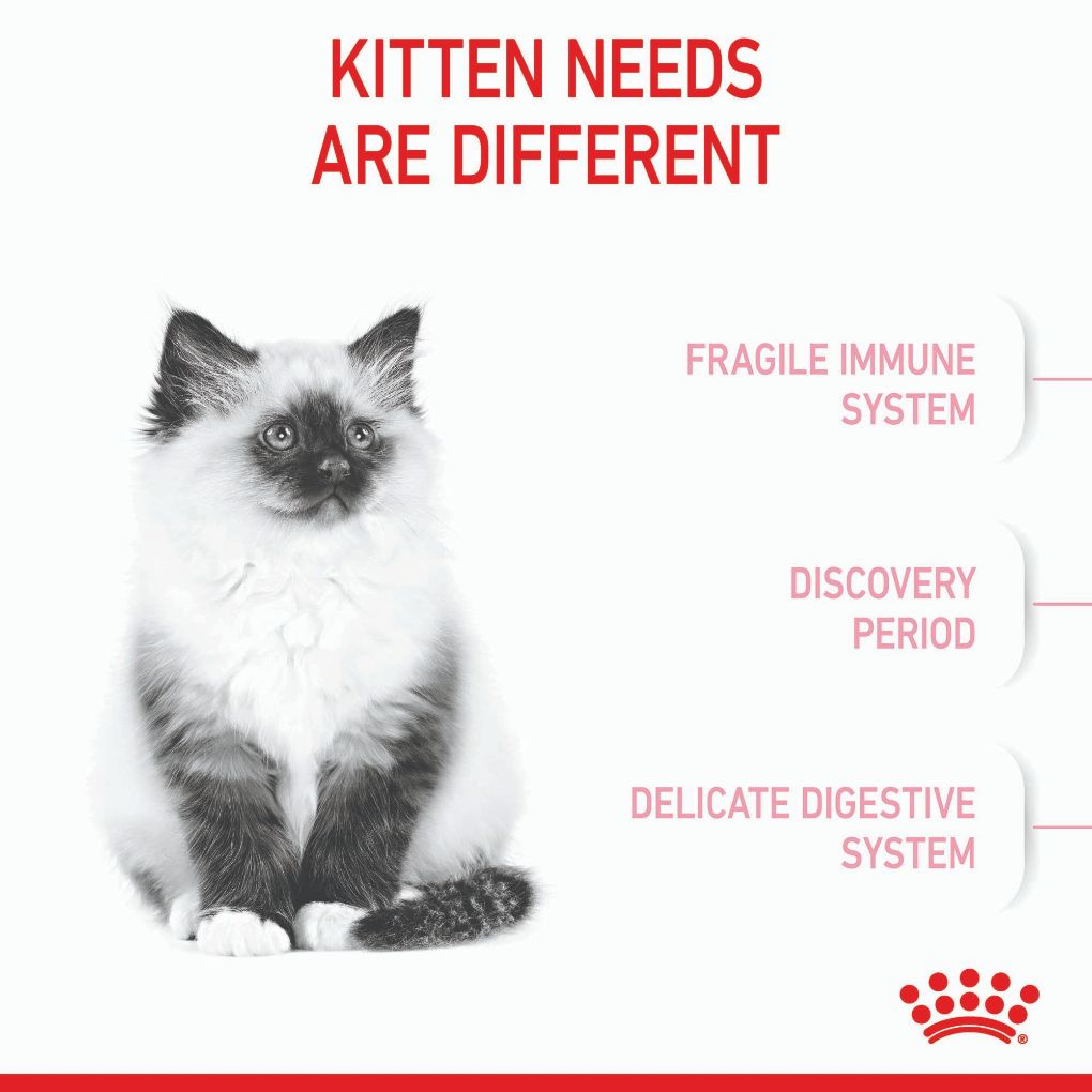 Royal Canin Kitten - RSPCA VIC