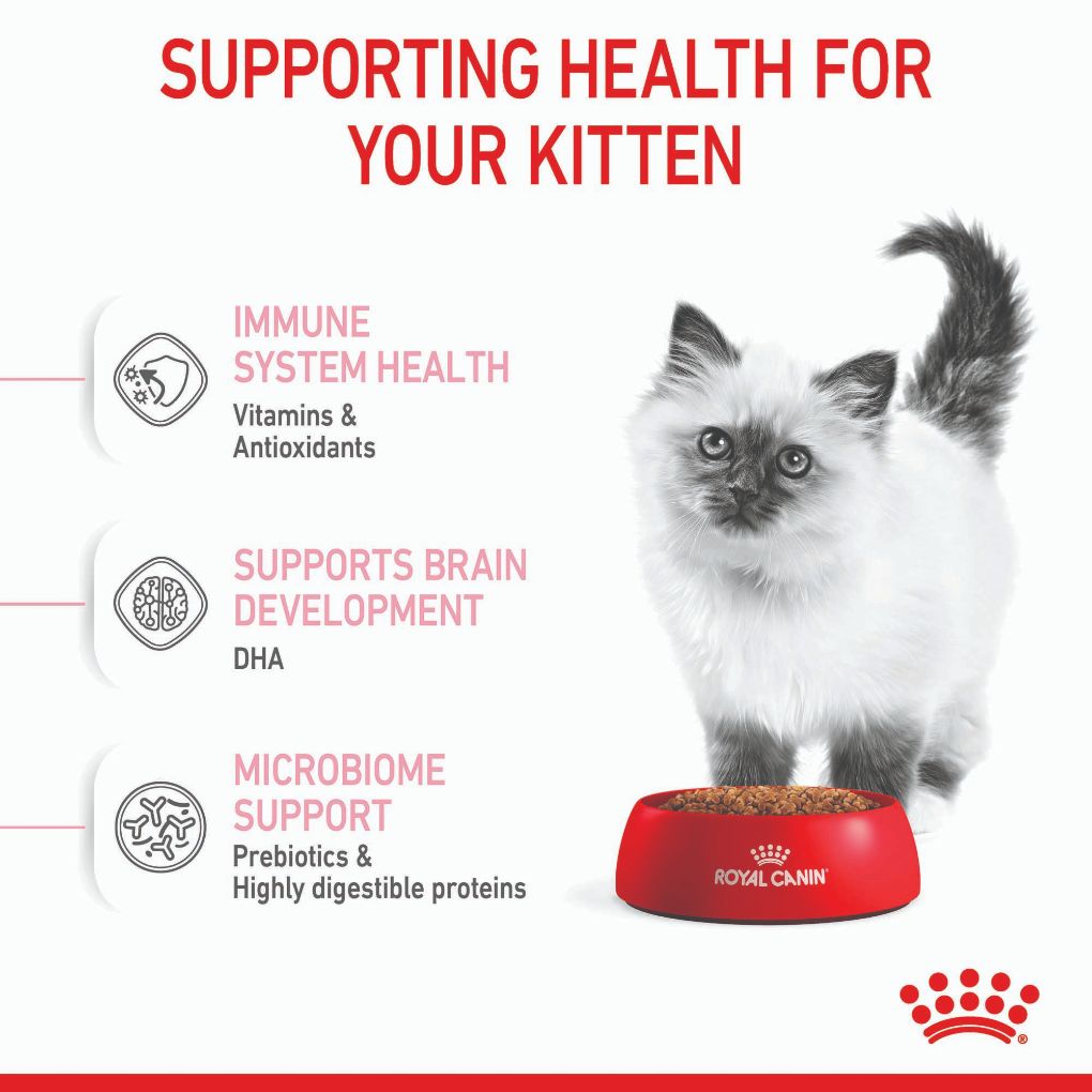 Royal Canin Kitten - RSPCA VIC