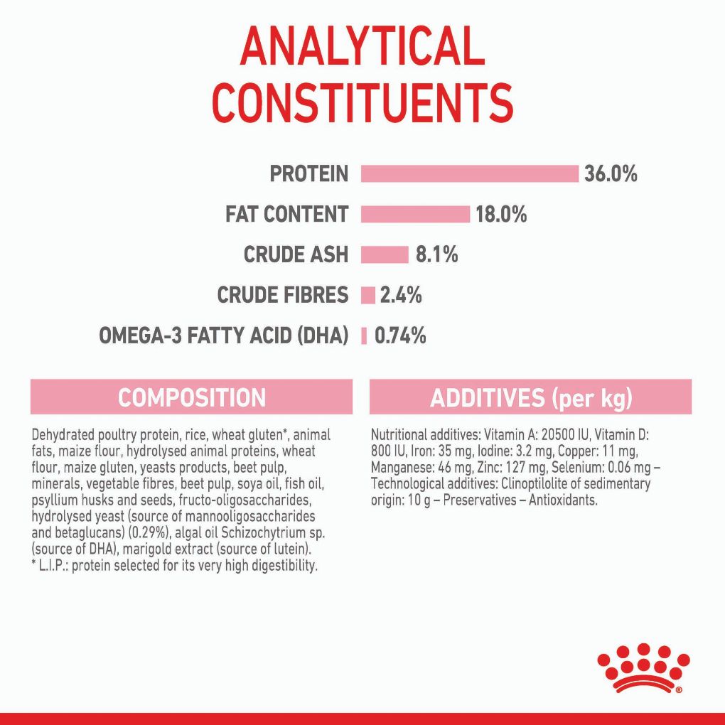 Royal Canin Kitten - RSPCA VIC